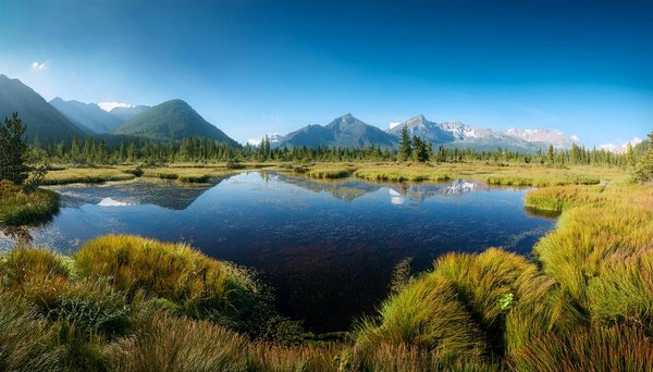 Découvrez les meilleures options de location de voiture à nice